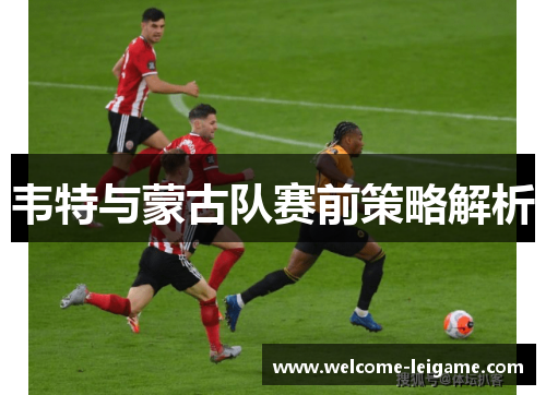 韦特与蒙古队赛前策略解析