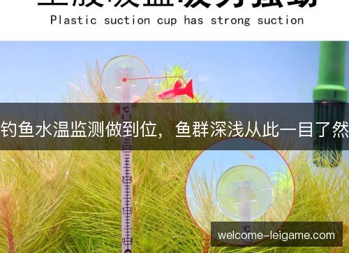 钓鱼水温监测做到位，鱼群深浅从此一目了然